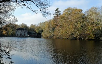 RANDONNÉE DU JEUDI 19 DECEMBRE 2024 MUZILLAC Etang Laluiso