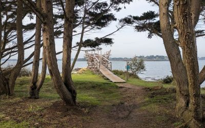 RANDONNÉE DU LUNDI  23 JUIN 2025 -SONDAGE – ILE ARZ