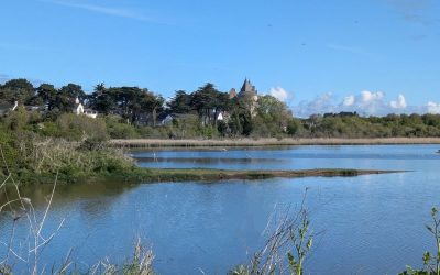 RANDONNÉE DU LUNDI 12 MAI 2025 – SARZEAU – Suscinio vers La Saline-Kermoisan