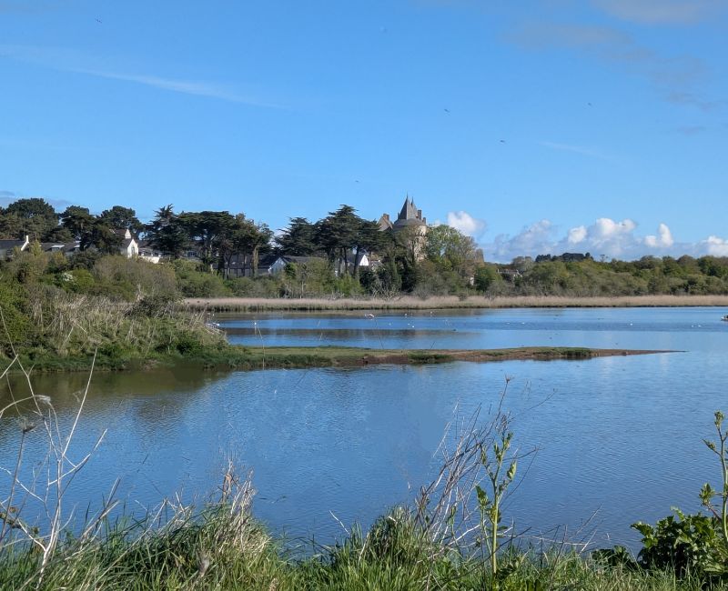 RANDONNÉE DU LUNDI 12 MAI 2025 – SARZEAU – Suscinio vers La Saline-Kermoisan