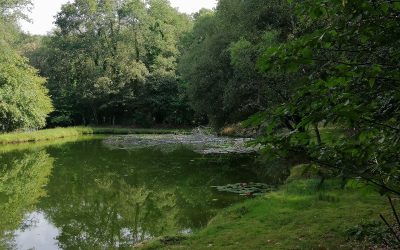 RANDONNÉE DU JEUDI 19 JUIN 2025 – Le Gorvello vers Kercohan