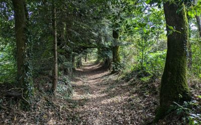 RANDONNÉE DU JEUDI 25 septembre 2025 Plaudren