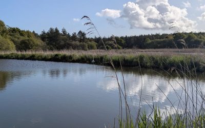 RANDONNÉE DU JEUDI 9 octobre 2025 Le Tour du Parc – Surzur