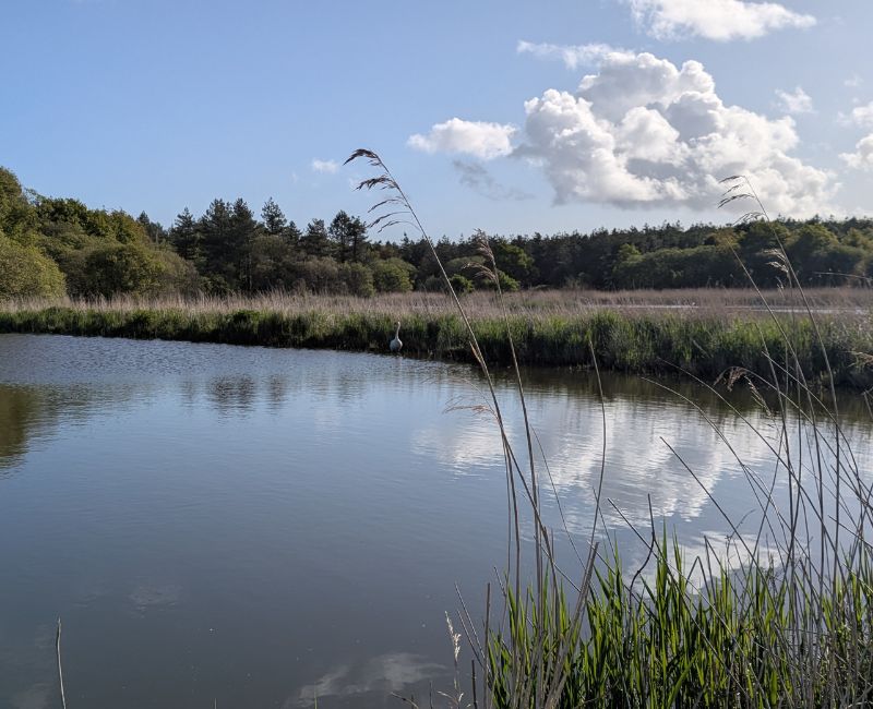 RANDONNÉE DU JEUDI 9 octobre 2025 Le Tour du Parc – Surzur