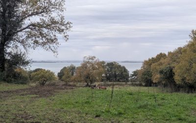 RANDONNÉE DU JEUDI 13 Novembre 2025 – Sarzeau Circuit du Patrimoine