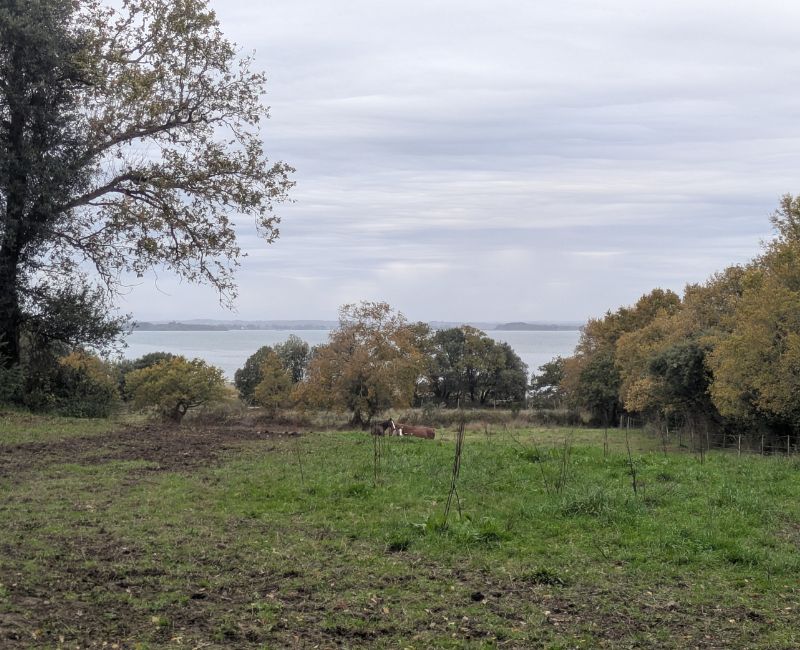 RANDONNÉE DU JEUDI 13 Novembre 2025 – Sarzeau Circuit du Patrimoine