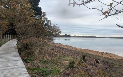 RANDONNÉE DU LUNDI 17 NOVEMBRE 2025 – Sarzeau – Le Duer