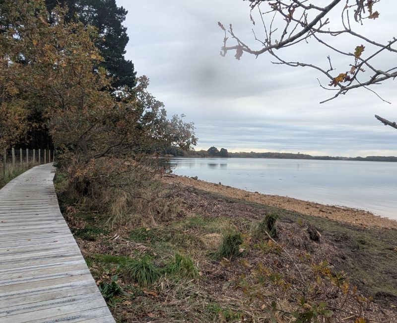 RANDONNÉE DU LUNDI 17 NOVEMBRE 2025 – Sarzeau – Le Duer