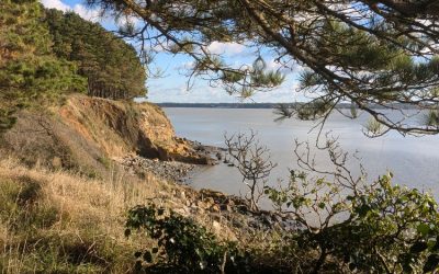 RANDONNÉE DU LUNDI 24 NOVEMBRE 2025 – Billiers – Penn Lann