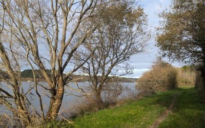 RANDONNÉE DU JEUDI 20 NOVEMBRE 2025 – Férel