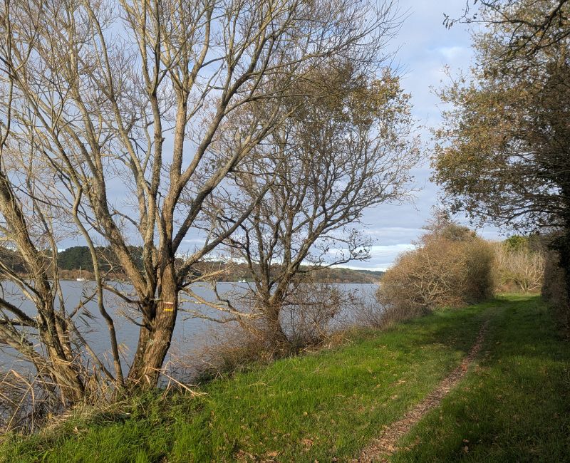 RANDONNÉE DU JEUDI 20 NOVEMBRE 2025 – Férel