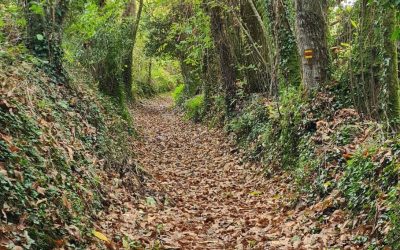 RANDONNÉE DU JEUDI 6 novembre 2025 – Larré