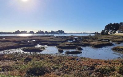 RANDONNÉE DU JEUDI 27 NOVEMBRE 2025 – Séné – Montsarrac – Le Péchit