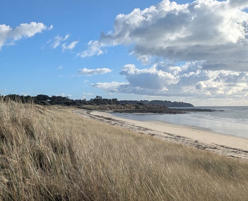RANDONNÉE DU LUNDI 4 DECEMBRE 2025 – Saint-Gildas-De-Rhuys vers Kervert