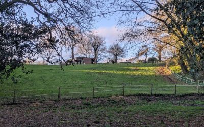 RANDONNÉE DU LUNDI 12 JANVIER 2026 – Sulniac