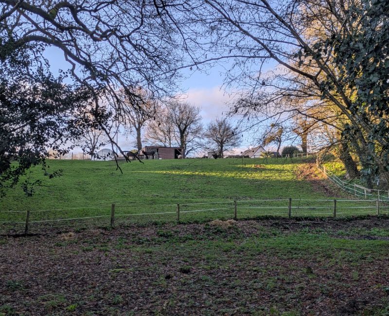 RANDONNÉE DU LUNDI 12 JANVIER 2026 – Sulniac