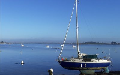RANDONNÉE DU LUNDI 26 JANVIER 2026 – Damgan Pointe de Pénerf