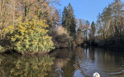 RANDONNÉE DU LUNDI 9 MARS 2026 – Saint Avé