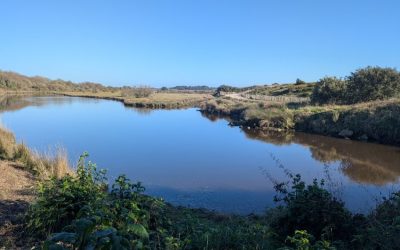 RANDONNÉE DU JEUDI 19 MARS 2026 – Saint Gildas de Rhuys – Les Govelins vers Tumiac