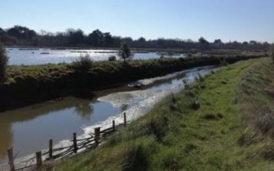 RANDONNÉE DU JEUDI 28 MAI 2026 – Clos Carré vers Saint Armel