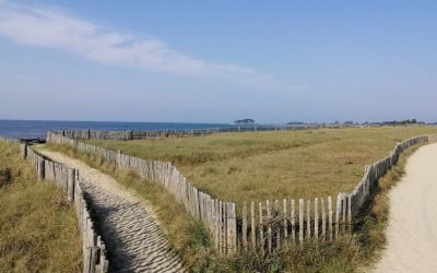 RANDONNÉE DU JEUDI 2 JUILLET – LOCMARIAQUER