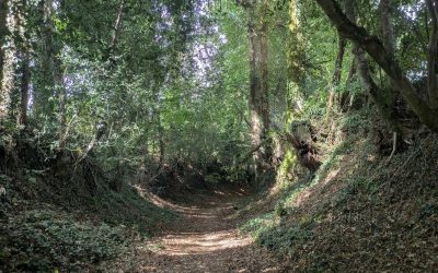 RANDONNÉES DU LUNDI 12 OCTOBRE 2026 – ELVEN – Circuit du Kerbiler